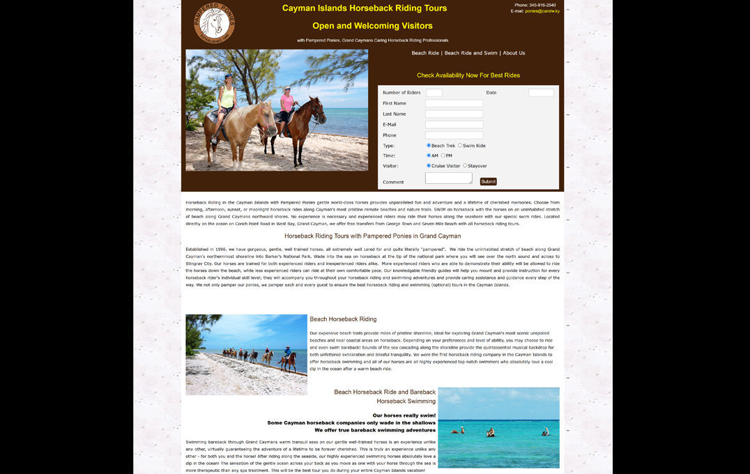 Pampered Ponies — previous site design